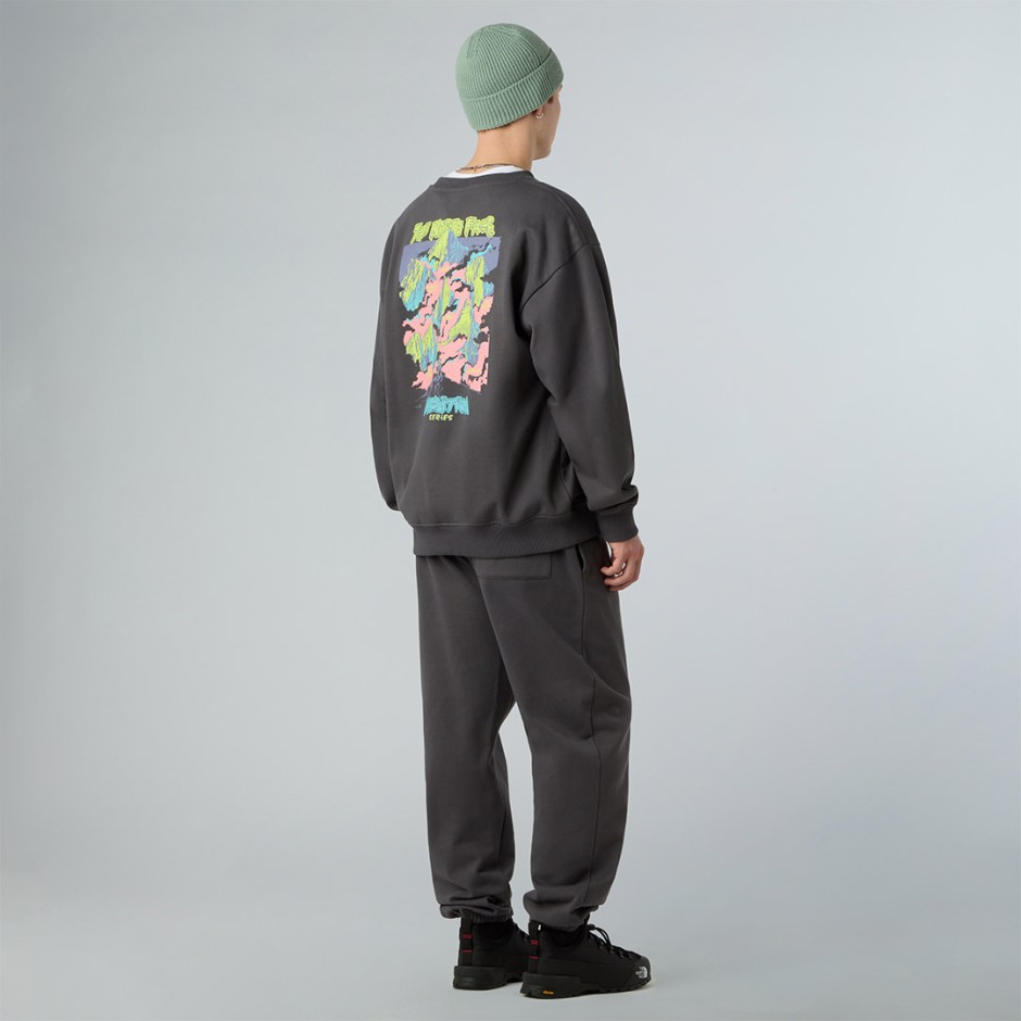 THE NORTH FACE EXPEDITION CELEBRATION OVERSIZED NF0A8E3GRHI-RHI Coal