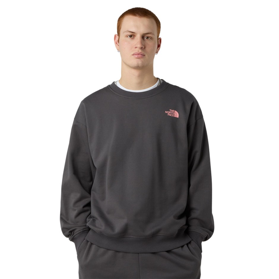 THE NORTH FACE EXPEDITION CELEBRATION OVERSIZED NF0A8E3GRHI-RHI Coal