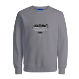 JACK & JONES JCOSCRIPTURE SWEAT CREW NECK FST 12284448 Grey Image 