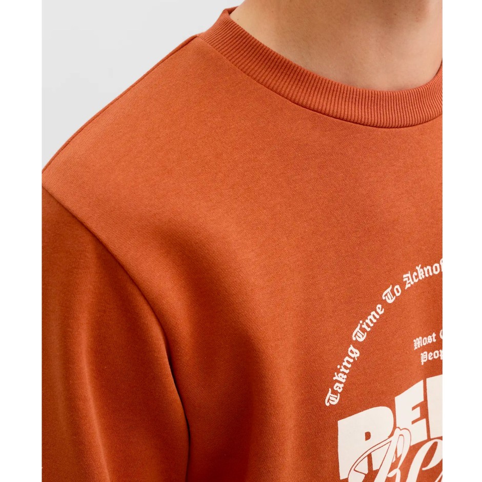 JJ REBEL JREBGRAY CREW NECK SWEAT 12286664-BOMBAY BROWN Brown