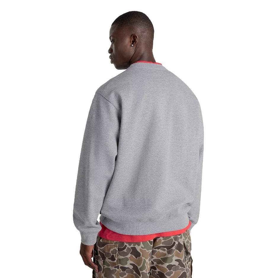 VANS SPRAY ON LOOSE CREW VN000HPQ02F-02F Grey