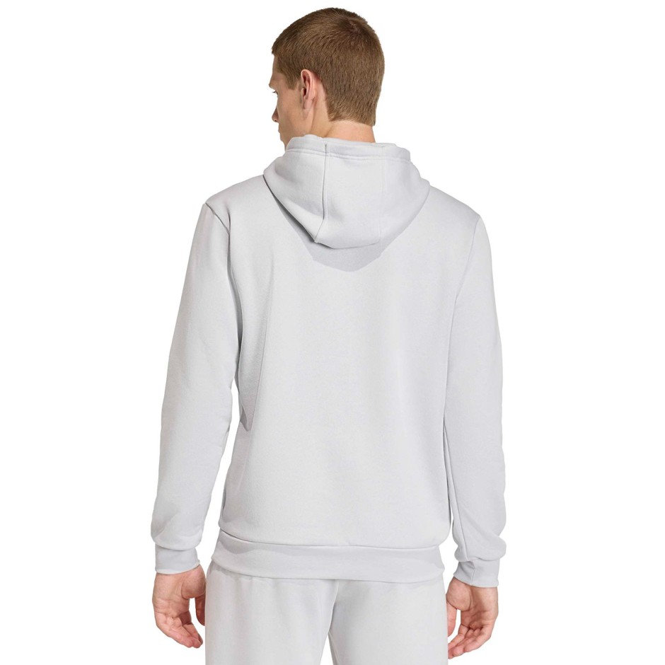 adidas Performance ENT26 HOODY  JZ6578 Grey