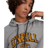 O'NEILL LM SURF STATE HOODY 1P1420-8001 Grey Image 1