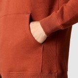 THE NORTH FACE SEASONAL GRAPHIC HOODIE NF0A7X1PUBC-UBC Mustard Image 4
