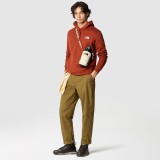 THE NORTH FACE SEASONAL GRAPHIC HOODIE NF0A7X1PUBC-UBC Mustard Image 6
