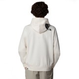 THE NORTH FACE M HOOD LOGO P/O NF0A89EJQLI-QLI White Image 0