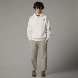 THE NORTH FACE M HOOD LOGO P/O NF0A89EJQLI-QLI White Image 1