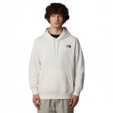 THE NORTH FACE M HOOD LOGO P/O NF0A89EJQLI-QLI White Image 