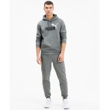 PUMA ESSENTIALS BIG LOGO MEN'S HOODIE 598014-03 Γκρί Εικόνα 1
