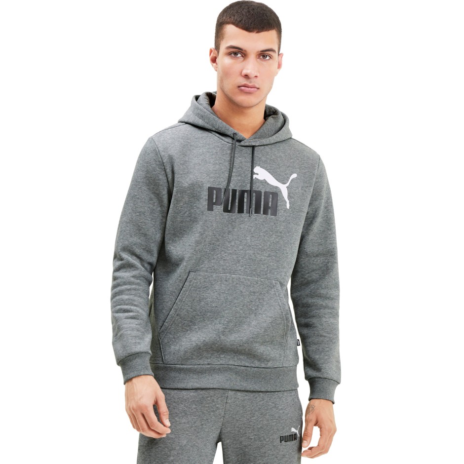 PUMA ESSENTIALS BIG LOGO MEN'S HOODIE 598014-03 Γκρί