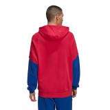 adidas Originals BIG TREFOIL OUTLINE COLORBLOCK HOODIE GE6226 Colorful Image 0