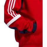 adidas Originals CLASSICS HOODIE GD2078 Κόκκινο Εικόνα 2