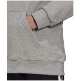 adidas Originals ADICOLOR CLASSICS TREFOIL HOODIE H06669 Γκρί Εικόνα 1