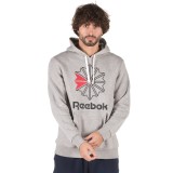 Reebok Classics F STAR HOODIE DH2074 Grey Image 