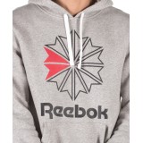 Reebok Classics F STAR HOODIE DH2074 Grey Image 1