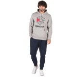 Reebok Classics F STAR HOODIE DH2074 Grey Image 2