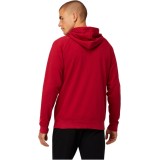 ASICS BIG OTH HOODIE 2031A984-601 Βυσσινί Εικόνα 0