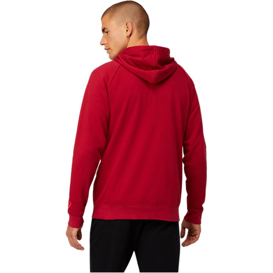 ASICS BIG OTH HOODIE 2031A984-601 Βυσσινί