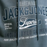 JACK & JONES JJELOGO SWEAT HOOD 2 COL AW SN 12299467-5034178 Γκρί Εικόνα 3