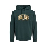 JACK & JONES JJAERO SWEAT HOOD 12298491-5024831 Πράσινο Εικόνα 