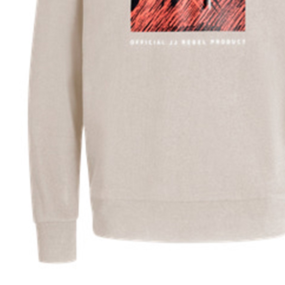 JJ REBEL RAVEN SWEAT HOOD 12266380-MOONBEAM Grey