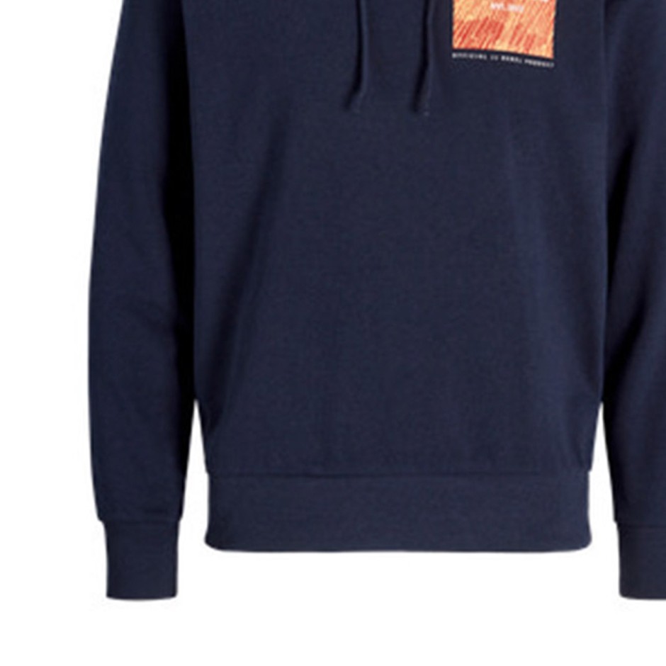 JJ REBEL RAVEN SWEAT HOOD 12266380-SKY CAPTAIN Blue