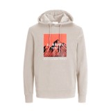 JJ REBEL RAVEN SWEAT HOOD 12266380-MOONBEAM Γκρί Εικόνα 