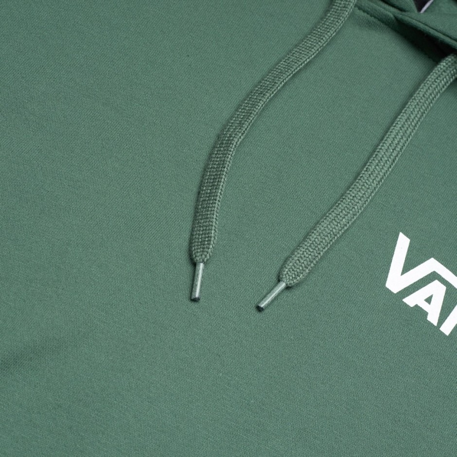 VANS POSTED LOOSE PO VN000JE81CI-1CI Pine