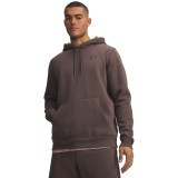 UNDER ARMOUR ICON FLEECE HOODIE 1373880-201 Brown Image 