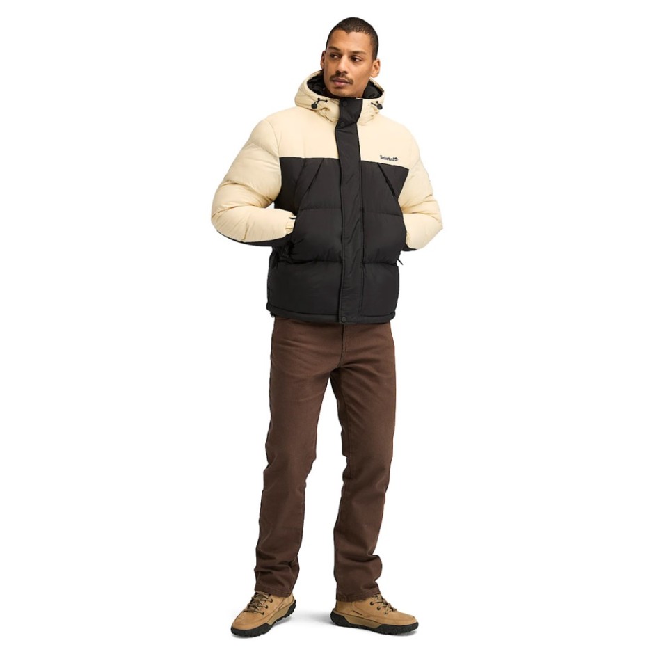 Ανδρικό Μπουφάν Μαύρο - Timberland Durable Water-Repellent