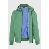 FUNKY BUDDHA FBM009-003-01-PALM LEAF Green Image 2