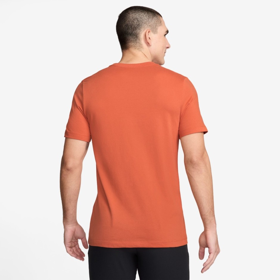 NIKE DRI-FIT FQ3914-846 Brown