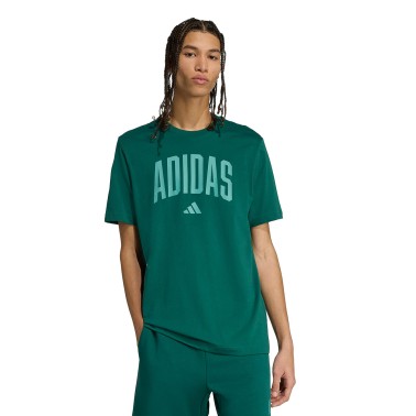 Ανδρική Κοντομάνικη Μπλούζα Πράσινη - adidas Sportswear Collegiate Lineage Graphic