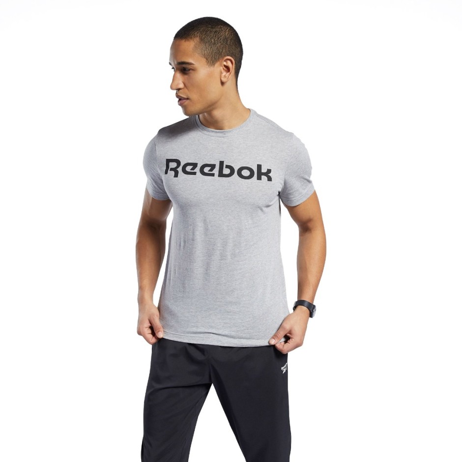 Reebok Sport GS LINEAR READ TEE 100038780 Grey