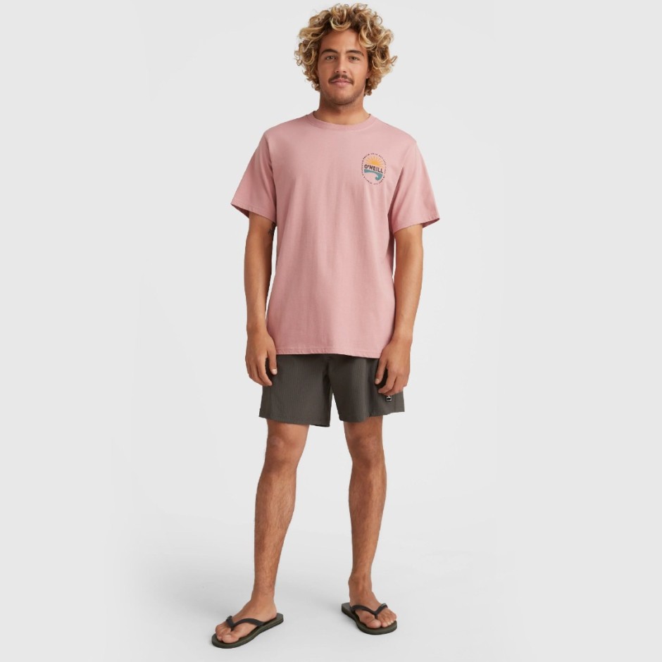 O'NEILL VINAS T-SHIRT Ροζ