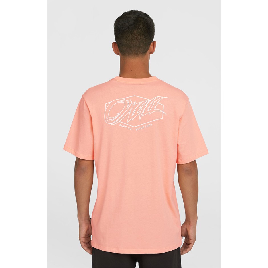 Ανδρική Κοντομάνικη Μπλούζα Σομόν - O'Neill Box Logo