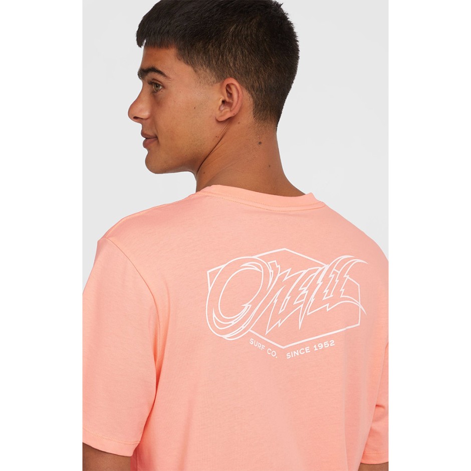 Ανδρική Κοντομάνικη Μπλούζα Σομόν - O'Neill Box Logo