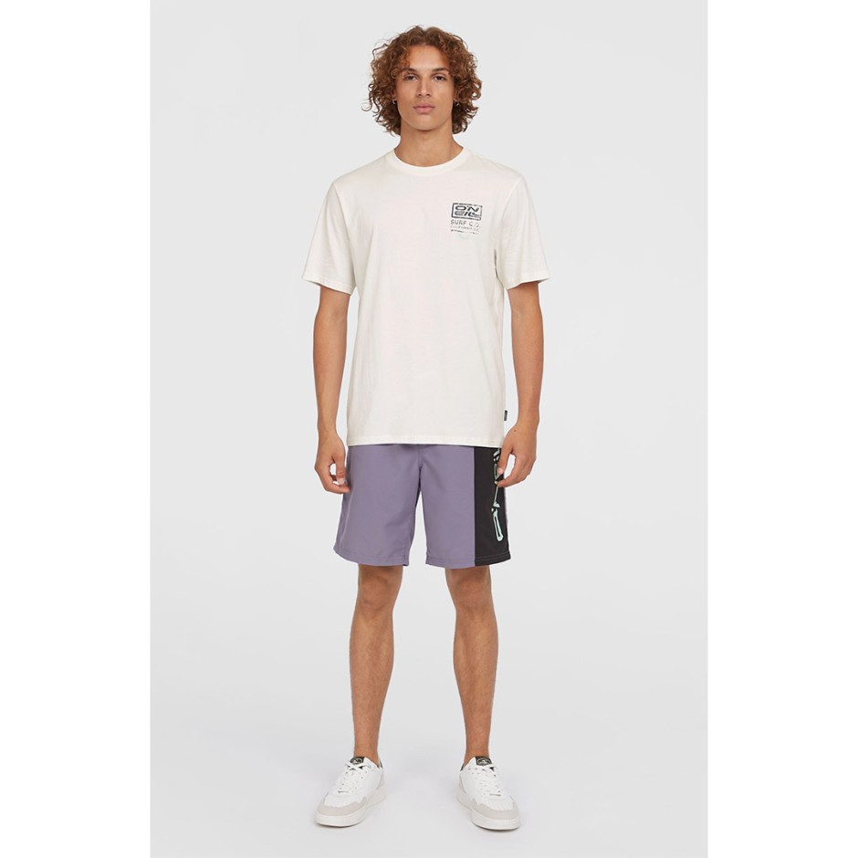 O'NEILL RETRO GRAPHIC T-SHIRT 2850283-11010 White