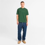 TIMBERLAND HAMPTHON SHORT-SLEEVE TEE TB0A6VPEA6X-A6X Pine Image 2