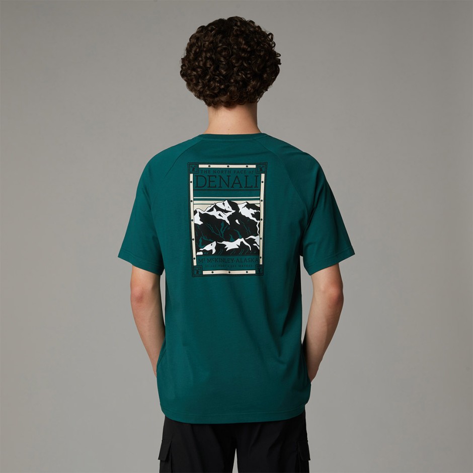THE NORTH FACE S/S NORTH FACES TEE NF0A87NU6GI-6GI Veraman