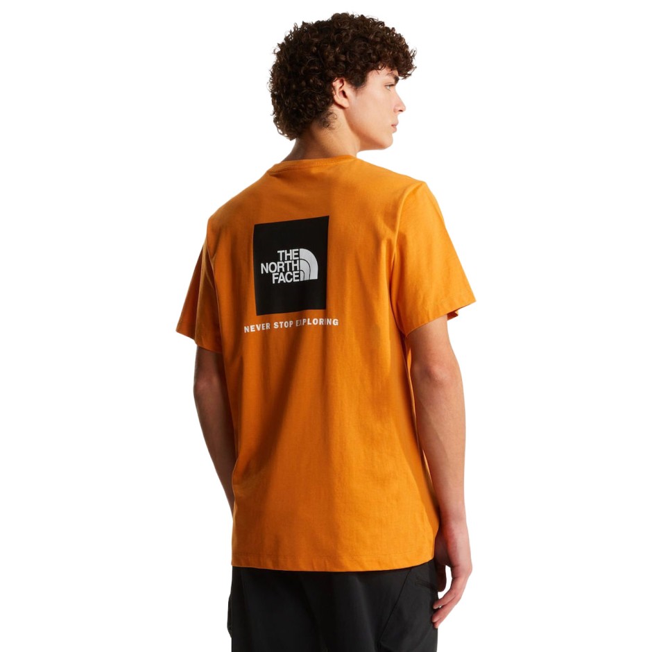Ανδρική Κοντομάνικη Μπλούζα Μουσταρδί - The North Face Evolution NSE Box