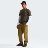 Men's T-Shirt Brown - The North Face North Faces Graphic Image 2