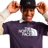 Ανδρική Κοντομάνικη Μπλούζα Μπλε - The North Face Evolution Half Dome Εικόνα 1