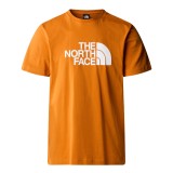 The North Face S/S Easy Πορτοκαλί - Ανδρική Κοντομάνικη Μπλούζα Εικόνα 