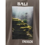 EMERSON Χακί Εικόνα 2