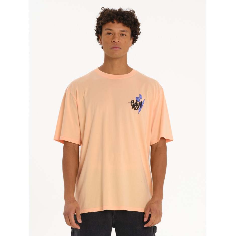 EMERSON  261.EM33.48-PEACH Somon