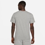 JORDAN JUMPMAN DC7485-091 Grey Image 0