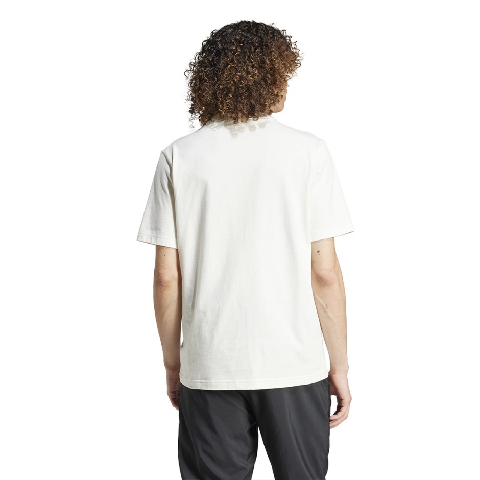adidas sportswear M CE TEE GD JF3327 Ecru