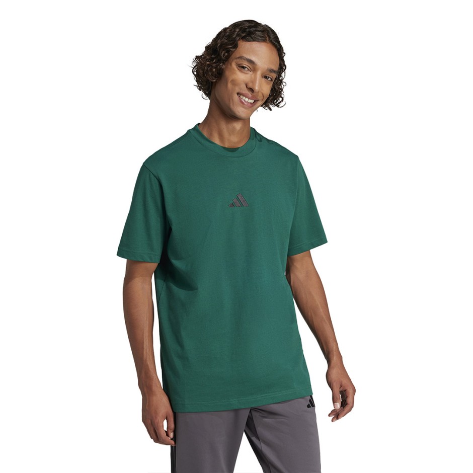 Ανδρική Κοντομάνικη Μπλούζα Κυπαρισσί - adidas Sportswear Essentials Small Logo Single Jersey