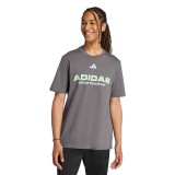 Ανδρική Κοντομάνικη Μπλούζα Γκρι - adidas Sportswear House Of Tiro Linear Εικόνα 